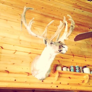 A common sight in Wyoming