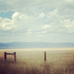 The Snowy Range from a distance
